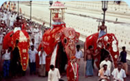 Kandy Esala Perahera pageant