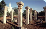 beauty of Ceylon